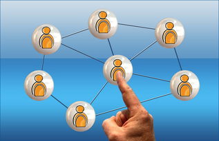 網絡營銷產品與軟件銷售全攻略 策略、工具與實戰技巧